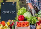 چرا مواد غذایی ارگانیک گرانترند؟